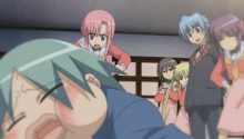 Hayate no Gotoku! 41