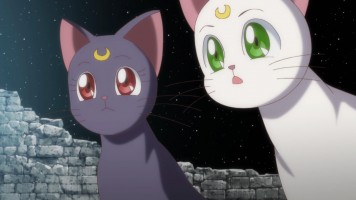 Sailor Moon Crystal - 14