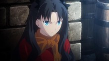 Fate/stay night: Unlimited Blade Works - 20