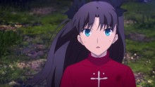 Fate/stay night: Unlimited Blade Works - 24