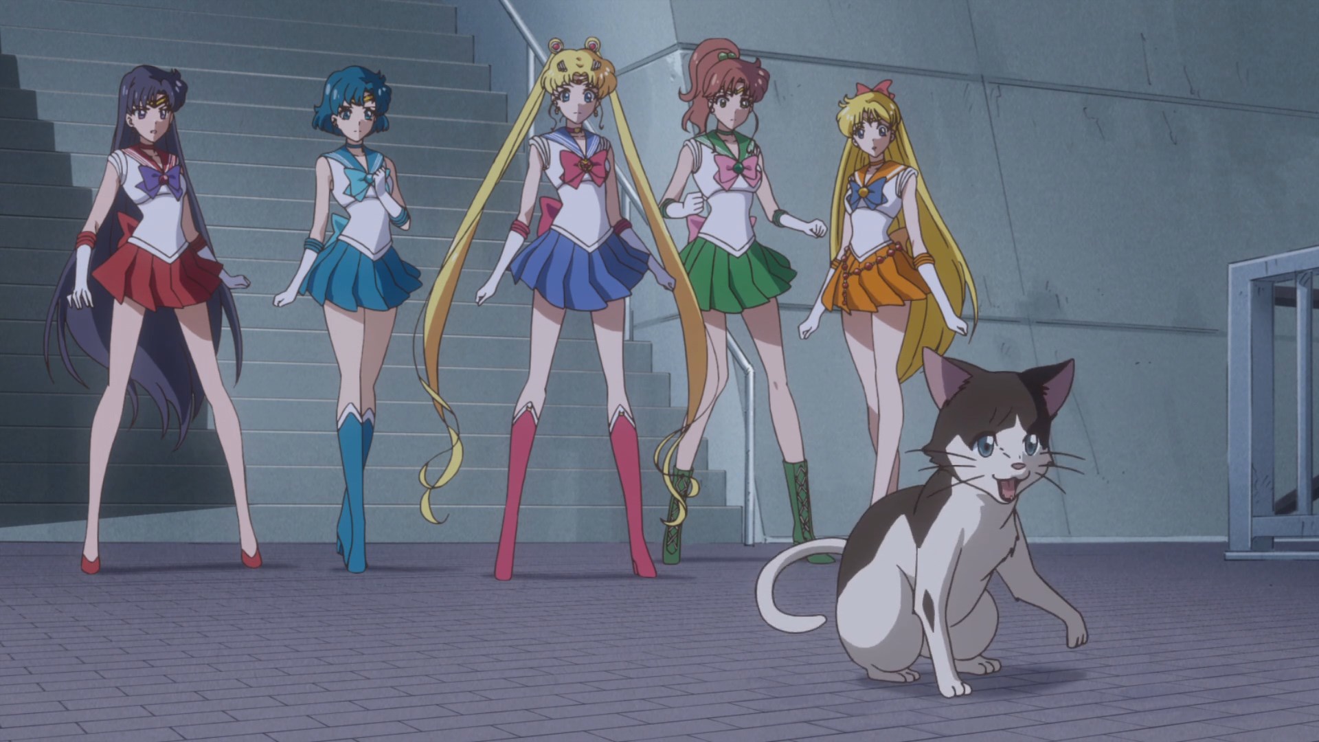 Sailor Moon Crystal – 28 – Random Curiosity