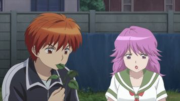 Kyoukai no RINNE 29