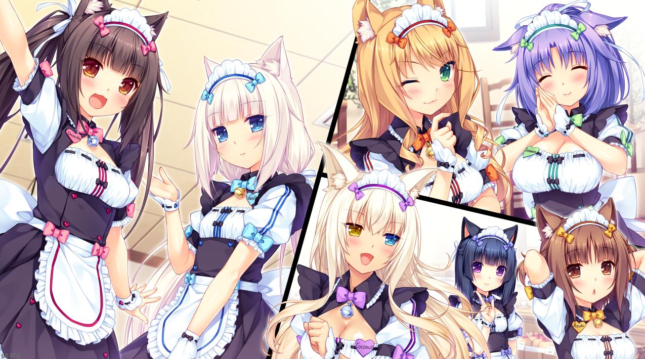 Nekopara anime episode online 1