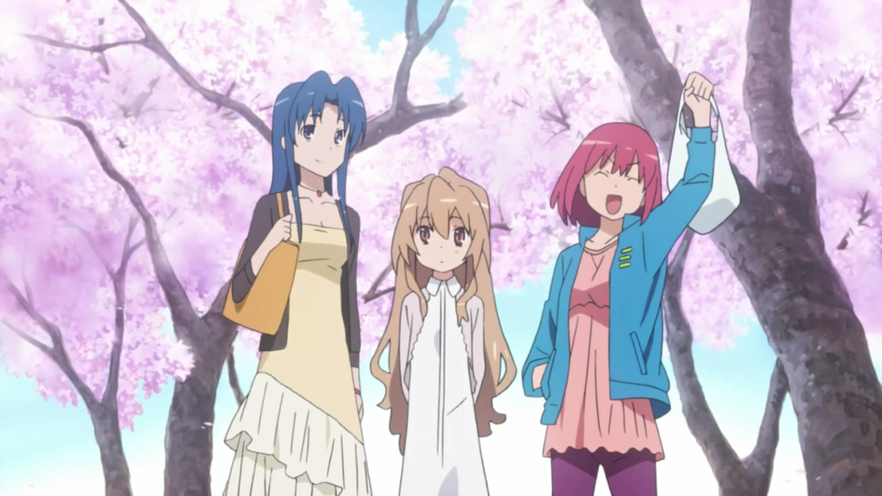 the end of the ova: Toradora! Does Bentou no Gokui. take place