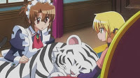 Hayate no Gotoku!! - 21