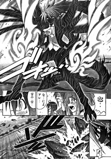 Negima! Manga Vol 29 Ch 265 Review