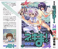 Negima! Manga Volume 24 (Japanese)