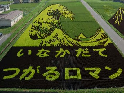 Japanese Rice Fields Made Into Art -- Whoa!