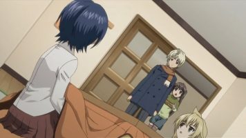 Minami-ke Okawari 11