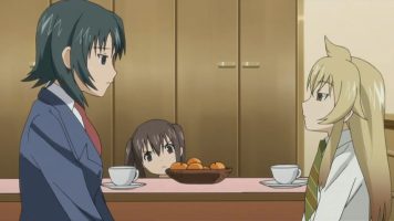 Minami-ke Okawari 10