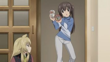 Minami-ke Okawari 10