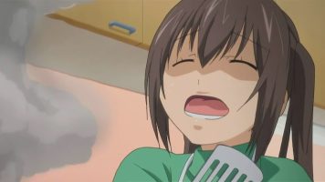 Minami-ke Okawari 13