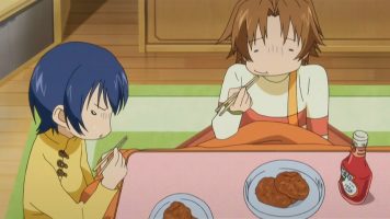 Minami-ke Okawari 13