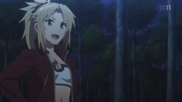 Fate/Apocrypha 14